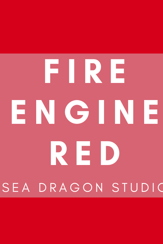 Festival Fishnets | 8 Colors Accessories Other SEA DRAGON STUDIO Fire Engine Red