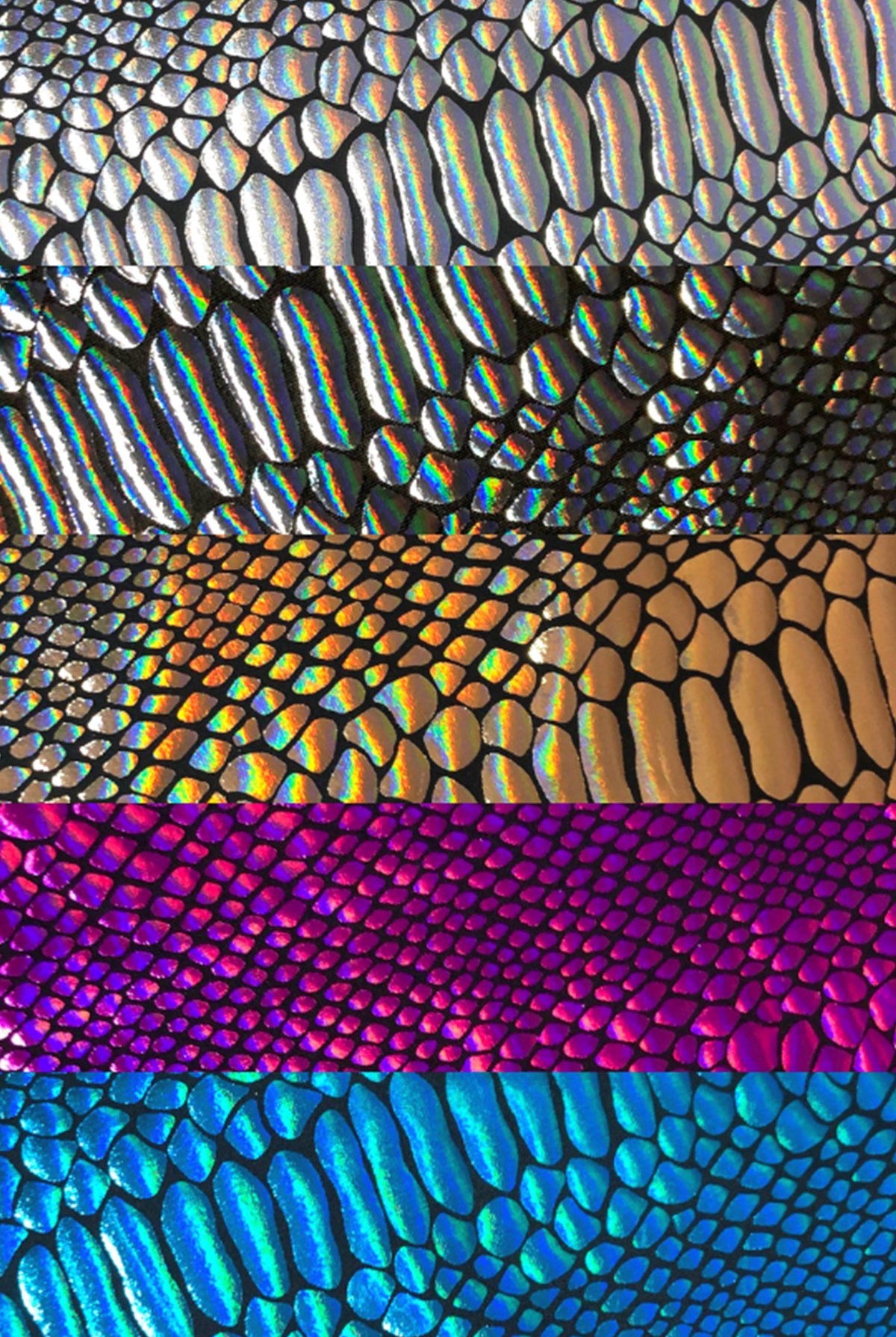 Holo Snake Print Hot Pants | 5 Colors Womens Bottoms SEA DRAGON STUDIO