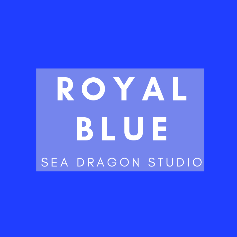 Festival Fishnets | 8 Colors Accessories Other SEA DRAGON STUDIO Royal Blue 