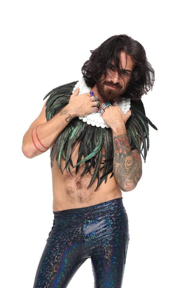 Iridescent Long Black Feather Collar - Accessories Other